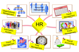 SAP HR (Human Resource)