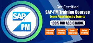 SAP pm training