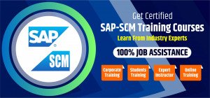 SAP scm training