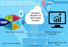 SAP SIMPLE FINANCE TRAINING