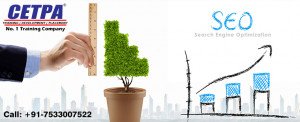 Search Engine Optimization