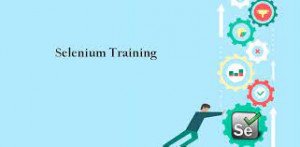 SELENIUM Course