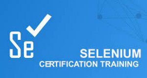 Selenium Course