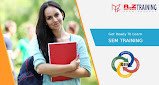 SEM TRAINING