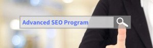 SEO Training