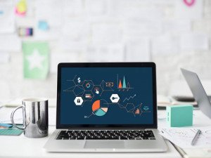 Web Design Course