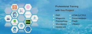 WEB DESIGNING AND DEVELOPMENT Course