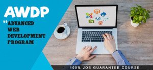 web development