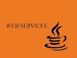 WEB SERVICES Course
