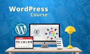 WordPress Training